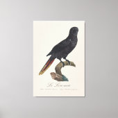 Le Lori noir / Zwarte lory Canvas Afdruk (Voorkant)