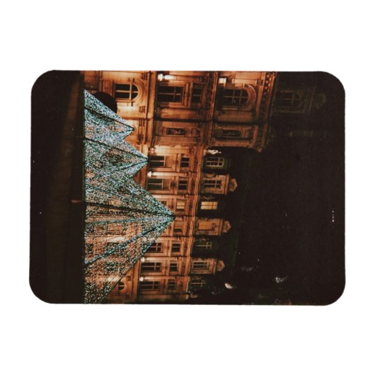 Le Louvre Magneet (Horizontaal)
