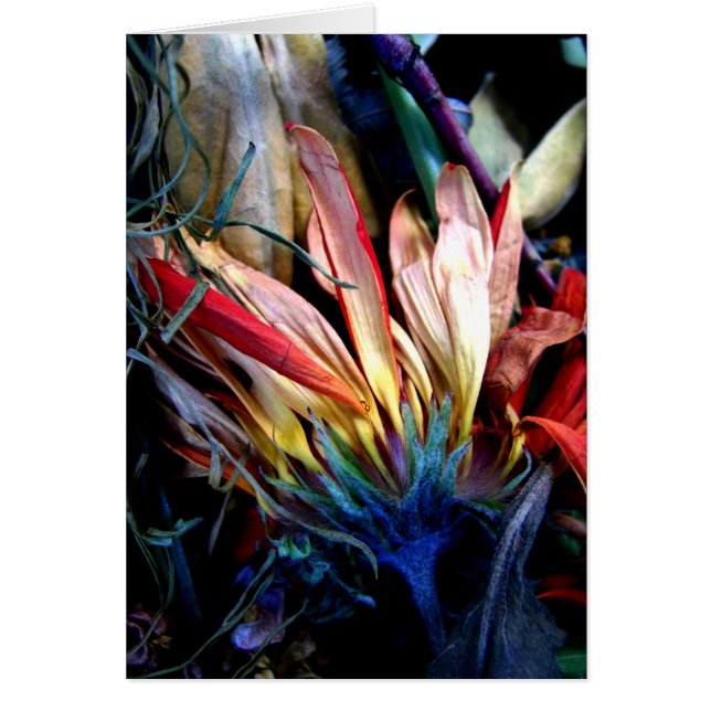 le passage des fleurs (Voorkant)