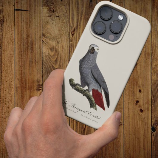 Le Perroquet Cendre - 19de-eeuwse illustratie Case-Mate iPhone Case