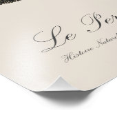 Le Perroquet Cendre - 19de-eeuwse illustratie Foto Afdruk (Hoek)