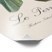 Le Perroquet Dufrene / Blauwe Amazone Foto Afdruk (Hoek)