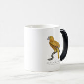 Le Perroquet Jaune ecaille de rouge Magische Mok (Voorkant rechts)