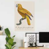 Le Perroquet Jaune ecaille de rouge Poster (Thuiskantoor)