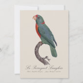 Le Perroquet Langlois Bedankkaart (Voorkant)