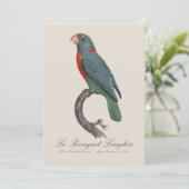 Le Perroquet Langlois Bedankkaart (Staand voorkant)