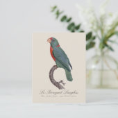 Le Perroquet Langlois Briefkaart (Staand voorkant)