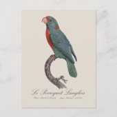 Le Perroquet Langlois Briefkaart (Voorkant)