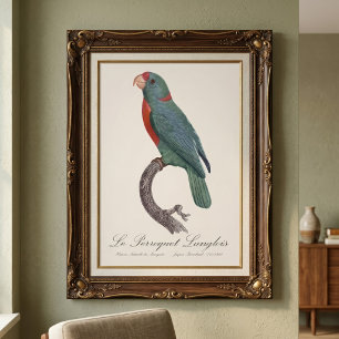 Le Perroquet Langlois Foto Afdruk