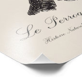 Le Perroquet Maipouri / Zwart-koppapegaai Foto Afdruk (Hoek)