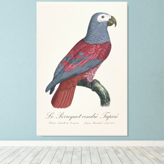Le Perroquet midden Tapire Canvas Afdruk (Insitu (Houten vloer))