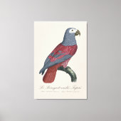 Le Perroquet midden Tapire Canvas Afdruk (Voorkant)