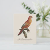 Le Perruche ecarlate Briefkaart (Staand voorkant)