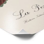 Le Perruche ecarlate Foto Afdruk (Hoek)