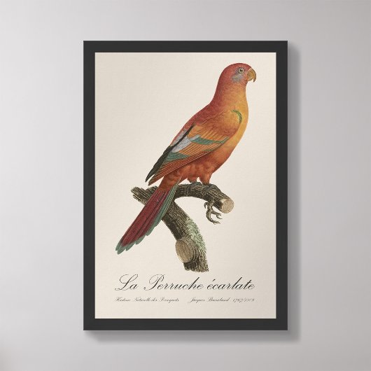 Le Perruche ecarlate Foto Afdruk