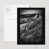 Le Rendez-vous d'Alice Wonderland foto van mooie k Briefkaart (Voorkant / Achterkant)