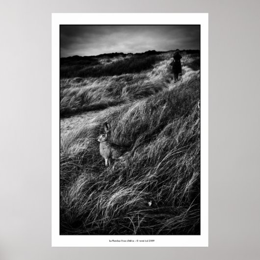 Le Rendez-vous d'Alice Wonderland foto van mooie k Poster (Voorkant)