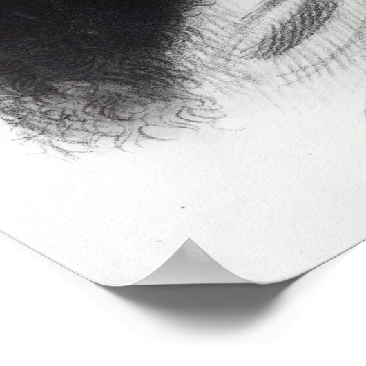 Le Soldat du Chene, een Osage Chief Poster (Hoek)