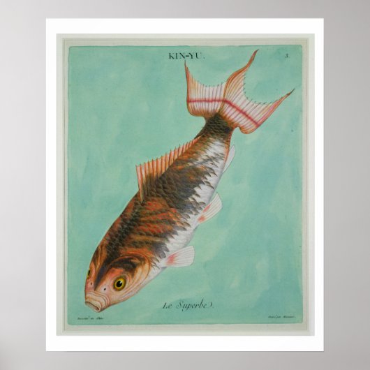 Le Superbe, gegraveerd door Francois Nicholas Mart Poster (Voorkant)