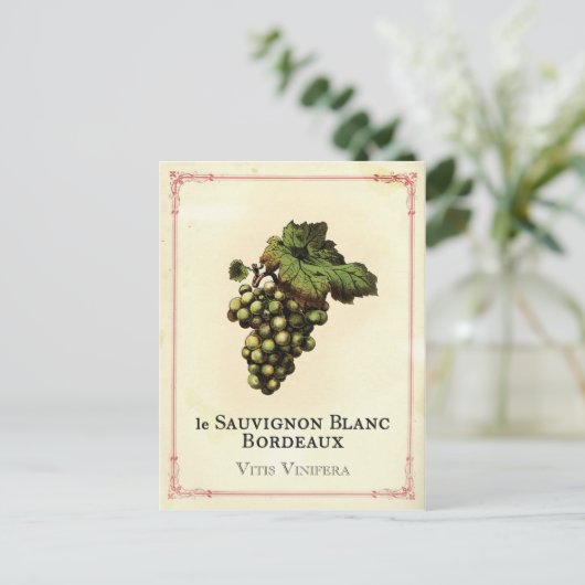 Le Vin Blanc Briefkaart (Staand voorkant)