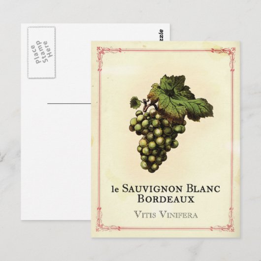 Le Vin Blanc Briefkaart (Voorkant / Achterkant)