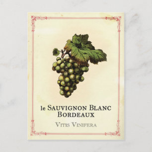 Le Vin Blanc Briefkaart