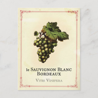 Le Vin Blanc Briefkaart