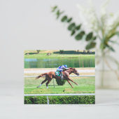Lea - Stakes Winning Chestnut Colt Briefkaart (Staand voorkant)
