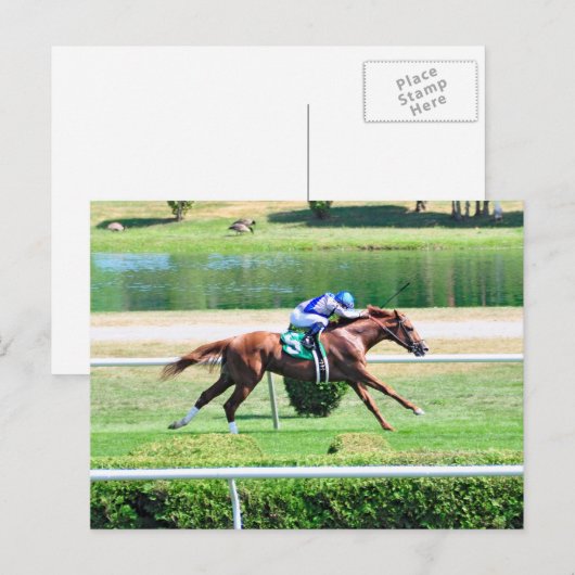 Lea - Stakes Winning Chestnut Colt Briefkaart (Voorkant / Achterkant)