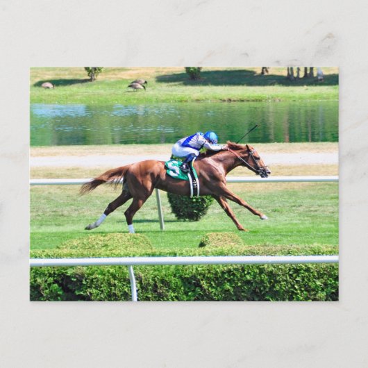 Lea - Stakes Winning Chestnut Colt Briefkaart (Voorkant)