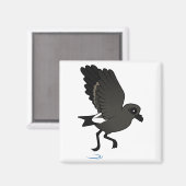 Leach's Storm Petrel (flutter) Magneet (Voorkant / Achterkant)