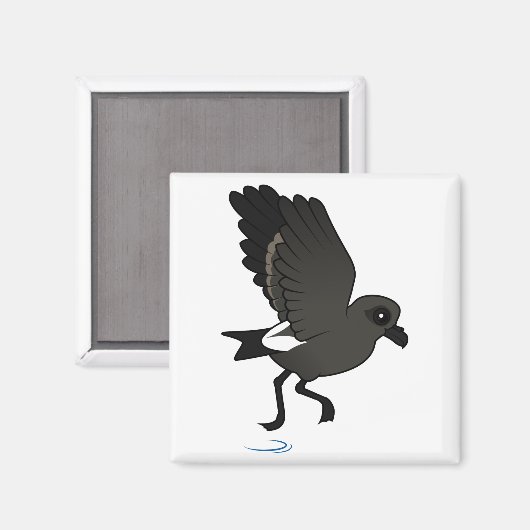 Leach's Storm Petrel (flutter) Magneet (Voorkant / Achterkant)
