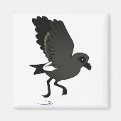Leach's Storm Petrel (flutter) Magneet (Voorkant)