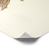 Leadbeater's Cockatau van Elizabeth Gould Poster (Hoek)