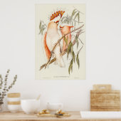 Leadbeater's Cockatau van Elizabeth Gould Poster (Keuken)