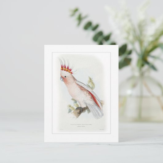 Leadbeterscockatoo Briefkaart (Staand voorkant)