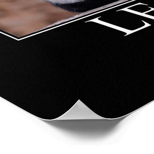 Leadership Cat Artwork Poster (Hoek)