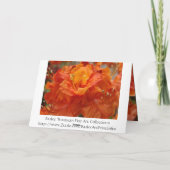 LEADERSHIP EXCELLENCE Kaart Oranje Rhodie Kaart (Achterkant)