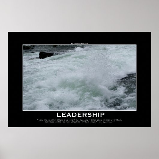 LEADERSHIP Rapids Motivatie foto Poster (Voorkant)