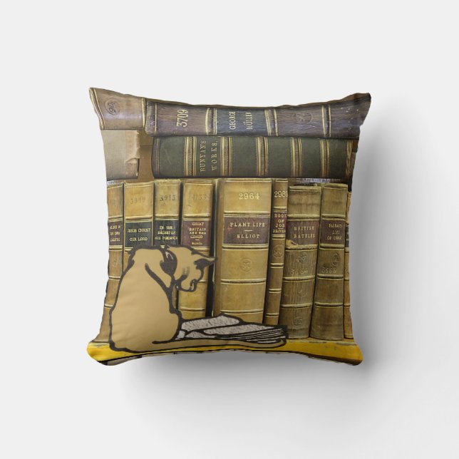  leadhills-bibliotheekkat-leesboek kussen (Voorkant)