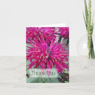 Leading Lady Razzberry Bee Balm Hot Roze Bloem Bedankkaart