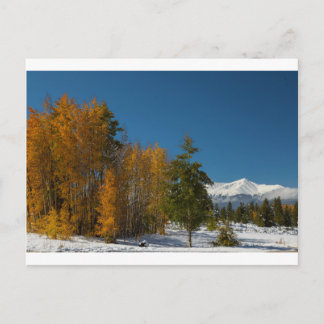 Leadville Autumn Uitzichten Briefkaart