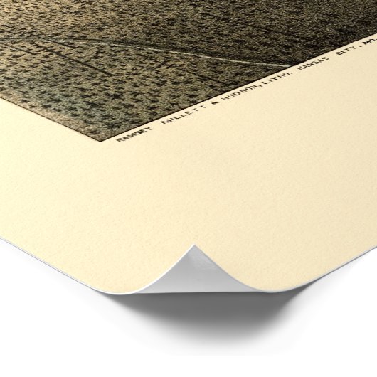 Leadville, CO Panoramic Map - 1879 Poster (Hoek)