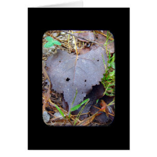 Leaf