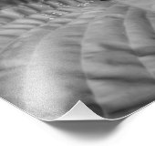 Leaf Abstract & Waterdruppels-B&W Foto Afdruk (Hoek)