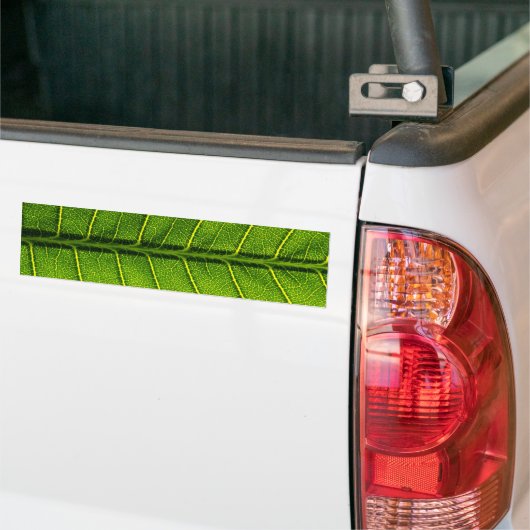 Leaf Bumpersticker (Op Truck)