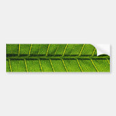 Leaf Bumpersticker (Voorkant)