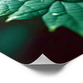 Leaf Close-up Kalme Rustige Natuur Seizoen Poster (Hoek)