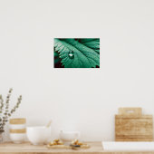Leaf Close-up Kalme Rustige Natuur Seizoen Poster (Keuken)