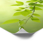 Leaf Close-up Kalme Rustige Natuur Seizoen Poster (Hoek)